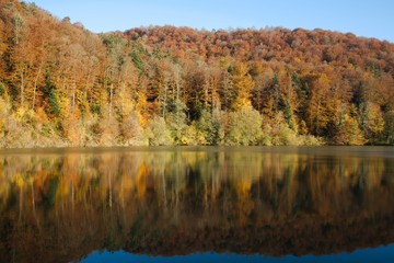 Reflection of the autumn forest in Lake Lucelle (Lac de Lucelle), Switzerland