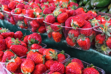 Closeup of juicy, fresh, ecologically produced, red strawberries without nitrates. Captured in the...