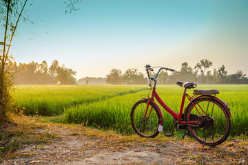 Fototapeta na wymiar Red bicycle with rural view background