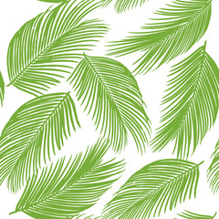Seamless pattern of exotic palm trees. Green leaves on white background.