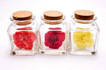 3つのボトルに入ったカーネーションの花