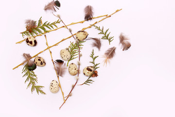 Easter composition with quail eggs