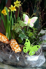Blumen