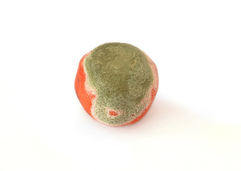 k&uuml;f,bozuk gıda