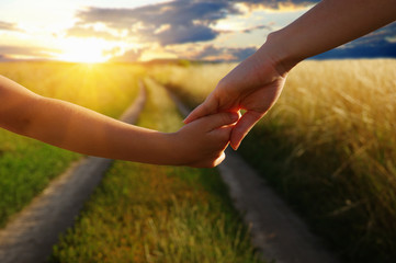 Hands of holding each other in field