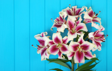  lily flowers on wooden planks