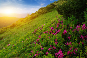 Fototapeta premium Mountain landscape on sun
