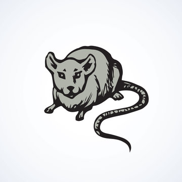 Mouse. Vector drawing