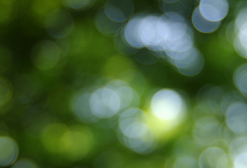 Green blurred background