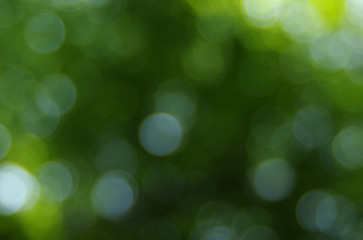 Green blurred background