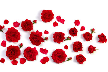Fototapeta na wymiar Red roses on white