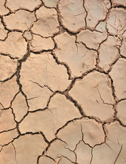 Crack earth and dry soil