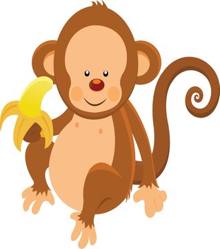 Eating banana monkey