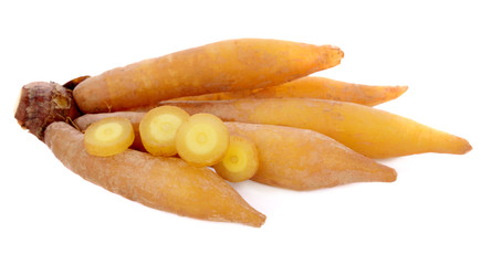 Fingerroot, Kaempfer, Boesenbergia isolated on white background