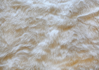 White fur background. Close up