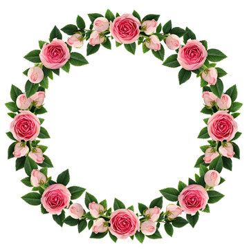 Pink rose flowers round frame