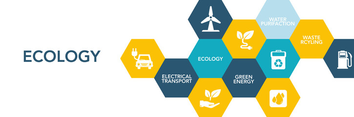 Ecology Icon Concept
