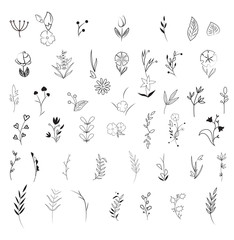Bigset of floral element vector illustration isolated on white