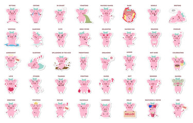 cute pig, stickers collection in different poses, different moods. vector illustration.