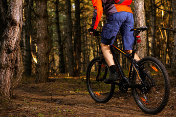Fototapeta na wymiar Cyclist Riding the Bike on the Trail in Beautiful Pine Forest. Healthy Lifestyle and Sport Concept.