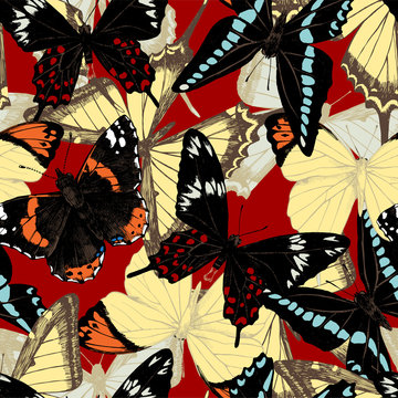Seamless pattern with hand drawn butterflies.