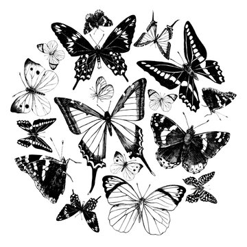 Hand drawn butterflies set. Vector illustration