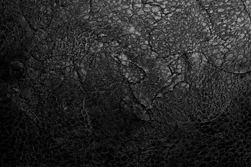 beautiful decorative plaster WB pattern