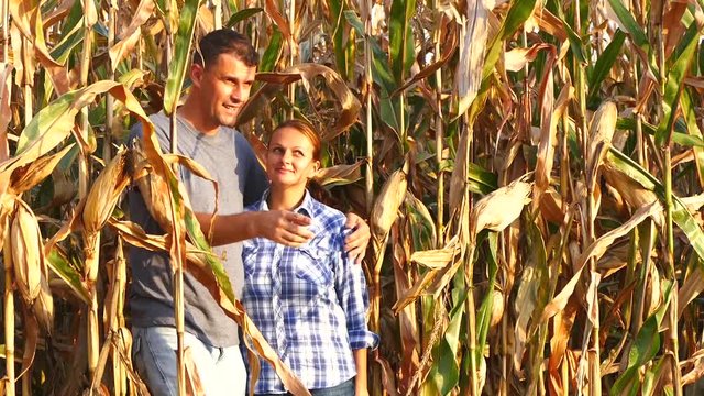 Two happy farmers walking trough the corn field.