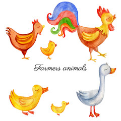 Watercolor cartoon cute farmer animals, rooster, chicken, duck, goose isolated on white background, hand drawn domestic birds, Character design for greeting card, children invite, creation of alphabet