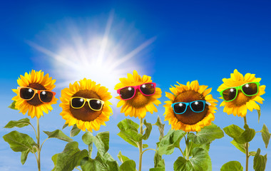 Obraz premium Sunflowers with sunglasses