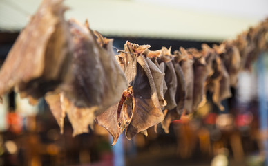 Dried fish hanging on a sunny day