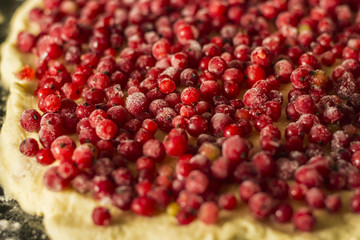 Uncooked red currant pie in a metal pie pan. Red fruits and berries. Close up.