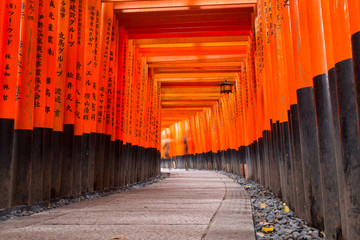 Fototapeta premium Tysiące bram torii w świątyni Fushimi Inari Taisha w Kioto w Japonii