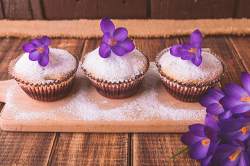 Muffins decorated with crocus flower on wooden background. Spring