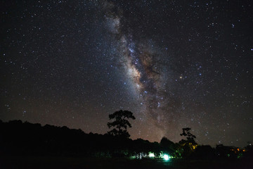 Milky Way and silhouette of tree at Phu Hin Rong Kla National Park,Phitsanulok Thailand, Long exposure photograph.with grain