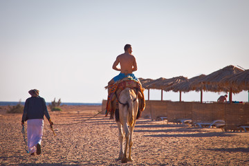 Wakacje w Egipcie. Przejażdżka wielbłądem po plaży - obrazy, fototapety, plakaty