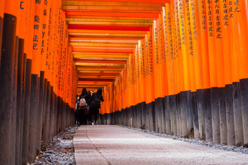 Signs on torii gates in the Fushimi Inari Taisha Shrine in Kyoto. Torii is a traditional Japanese gate commonly found in a shrine.