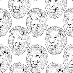 Beautiful lion artwork. Detailed.African predator.