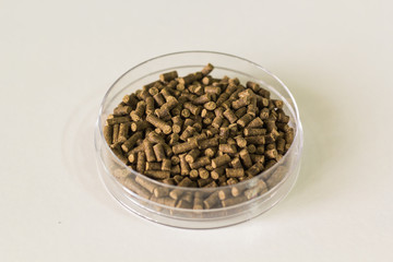 shrimp feed isolated background