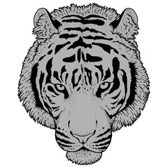 Tiger Head Illustration Vector