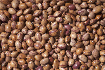 Fototapeta premium Kidney bean /The background of kidney bean.