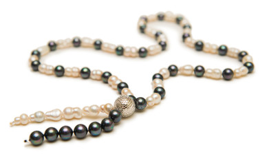 Elegant necklace isolated on white background