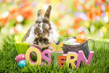 Ostern natur