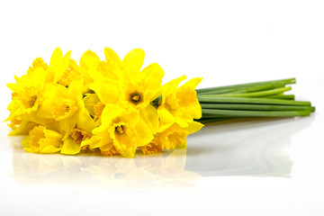 A bouquet of daffodils on a white background