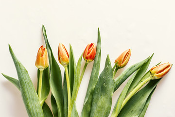 Orange tulips, view from top