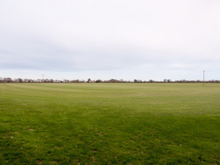 A Lush Farming Field of Cut Grass