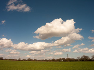Fototapeta na wymiar White Clouds in Blue skies Over Green Fields