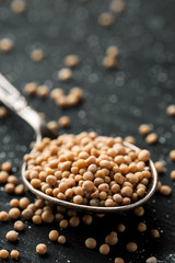 White mustard seeds in metal spoon on a black wooden table, selective focus, vertical, copy space