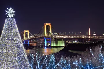 Foto op Aluminium Urban Landscape of Tokyo, Japan with Christmas illuminations at Odaiba island © shubhashish5