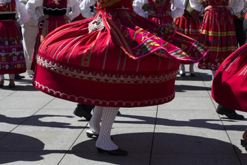 Obraz na płótnie Canvas Traditional portuguese dancers